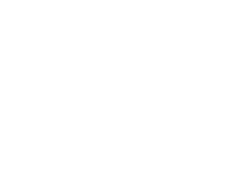 logo Lilly Estética